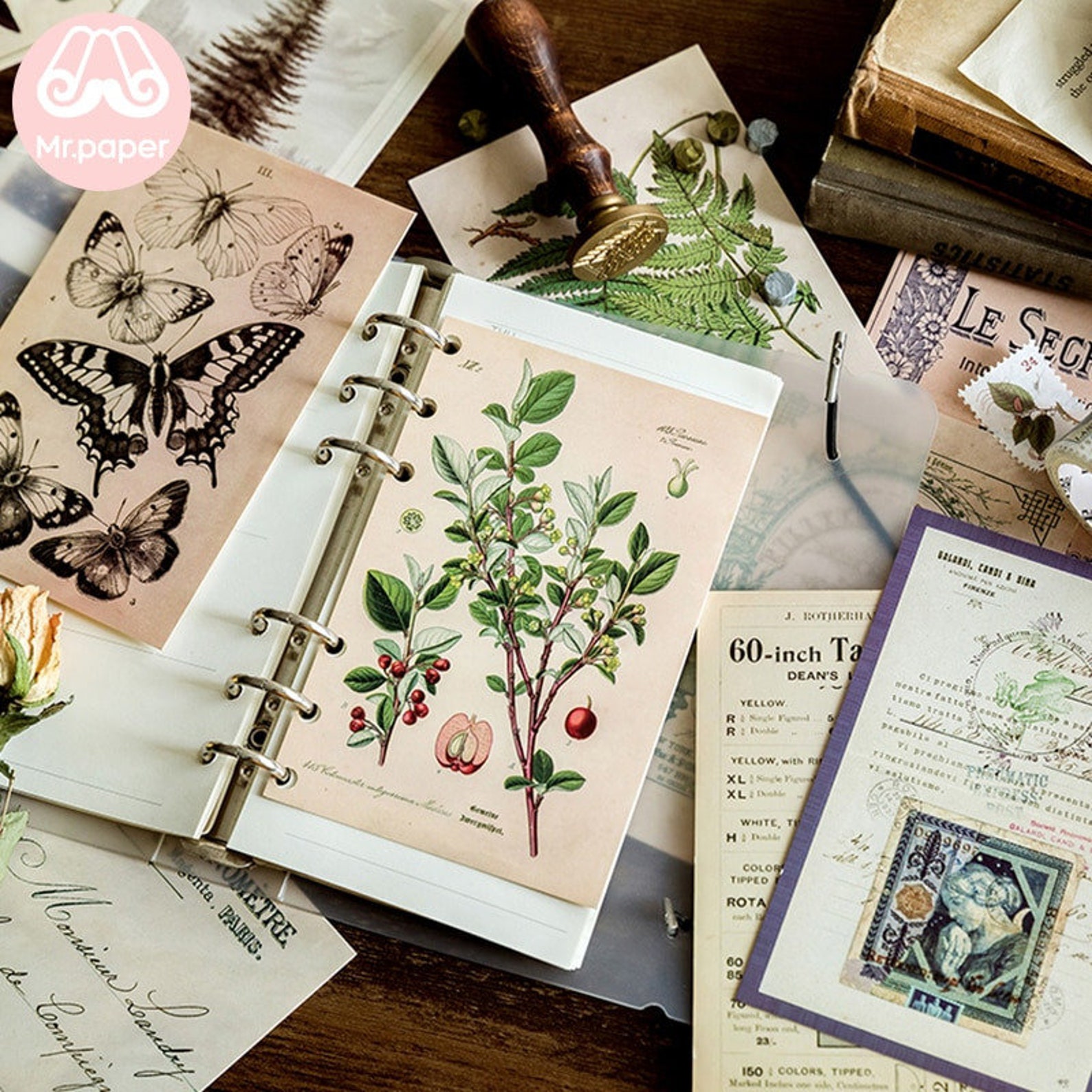 30pcs Box alten Wald Tiere Pflanzen Exemplar Postkarte Vintage | Etsy