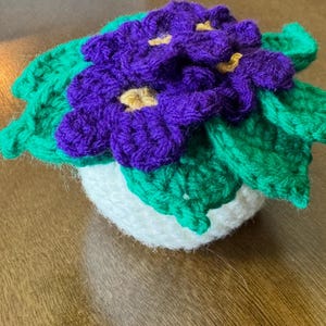 May include: A crocheted African violet plant featuring deep purple flowers with small yellow centers, surrounded by textured green leaves, all contained within a rounded white crocheted pot. The yarn work displays a clear, looped stitch pattern.