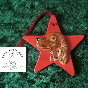 Irish Setter Christmas Star