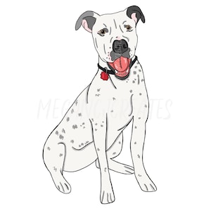 Custom Pet Illustration – DIGITAL FILE ONLY