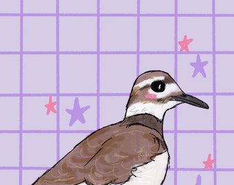 Killdeer Greeting Card