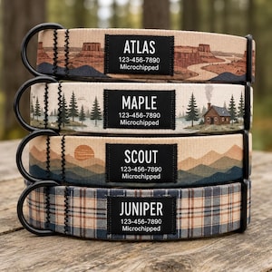 Può includere: Una pila di quattro collari per cani in tessuto con anelli a D in metallo nero. Ogni collare presenta un motivo unico: mesa desertiche, baita nel bosco, catene montuose e tartan blu. Ogni etichetta nera riporta un nome, un numero e Microchipped.