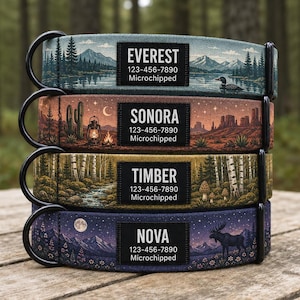 Collare personalizzato per cani da esterno, design personalizzato con motivo montagna e foresta, targhetta identificativa Black Label.