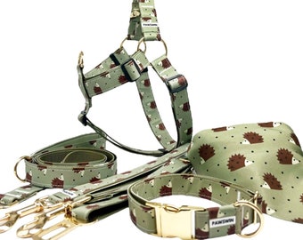 Set di collari per cani personalizzati: Riccio verde, ID inciso, fatto a mano