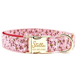 Personalized Dog Collar - Custom Name, Metal Hardware, Handmade, Collar for Small to Large Dogs, Gift for Dogs -