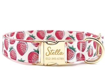 May include: A white dog collar with a gold buckle and a red and white strawberry pattern. The buckle has the name "Stella" and the phone number "012-345-6789" engraved on it.