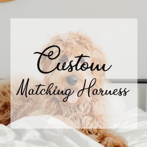 Custom Matching Harness Please Contact the seller first