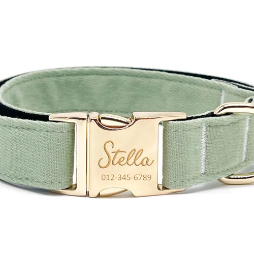 Light Green Custom Dog Collar Adjustable Neck Collar for Etsy