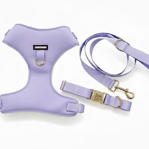 May include: A lavender dog harness, leash, and collar set. The harness has the brand name "PAWSWIN" printed on it. The collar has a gold-colored buckle with the name "Stella" engraved. The set includes gold-colored metal hardware.
