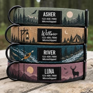Collare personalizzato per cani da montagna, design personalizzato Campfire Trail, targhetta identificativa Black Label.