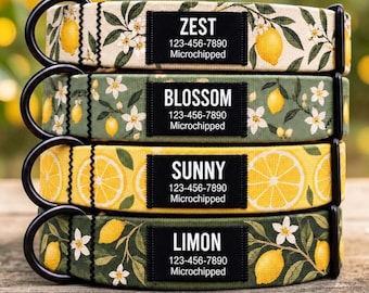 Personalized Lemon Dog Collar, Citrus Blossom & Fruit Design, Black Name ID Tag