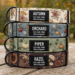 Personligt hundhalsband med höstblommor, pumpa- och fruktträdgårdsdesign, svart namnbricka