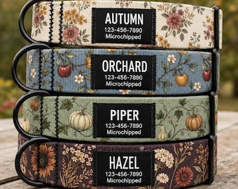 Personalized Fall Floral Dog Collar, Pumpkin & Orchard Design, Black Name ID Tag
