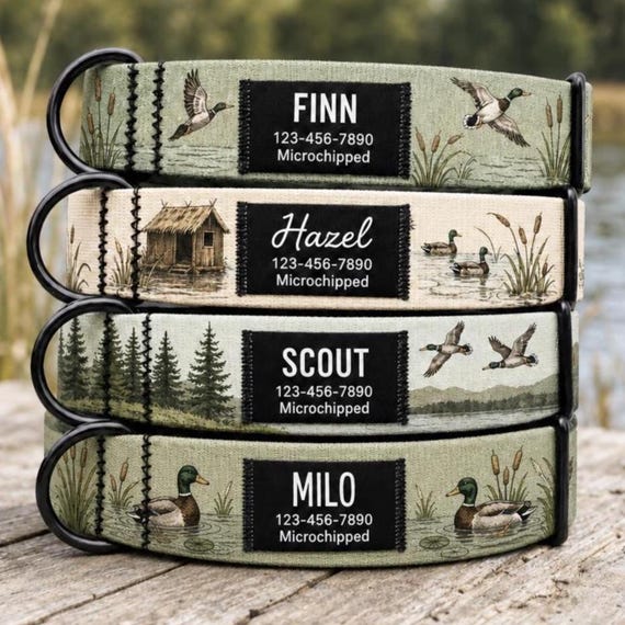 Personalized Duck Hunting Dog Collar, Custom Name Patch, Marsh Lodge Print