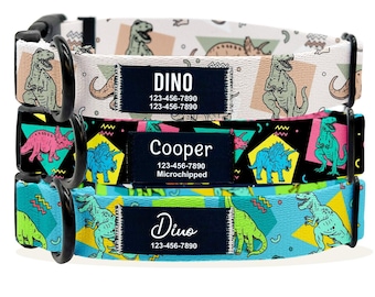 Personalized Dinosaur Dog Collar: Custom Printed Name Patch, Quiet Nylon ID