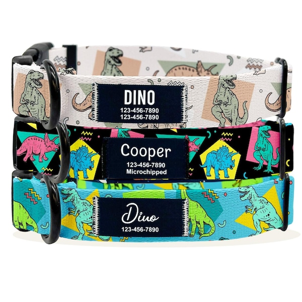 Personalisiertes Dinosaurier Hundehalsband: Individuell gedrucktes Namenspatch, Quiet Nylon ID