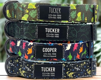 Personalized Dinosaur Dog Collar: Custom Nylon Name Patch, Handmade