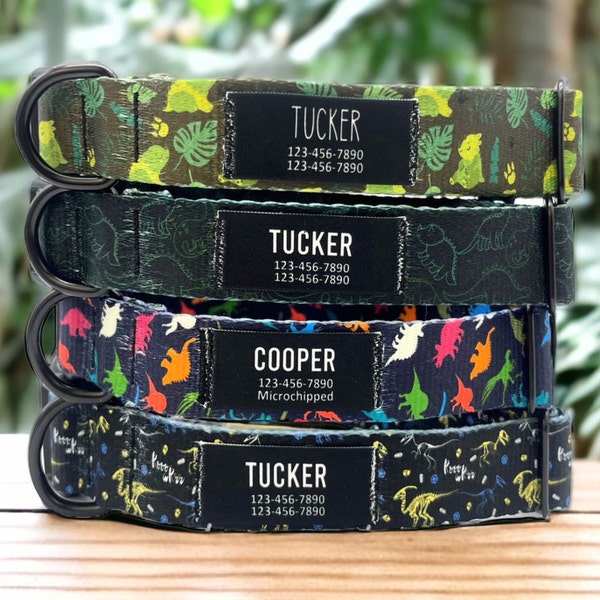 Personalisiertes Dinosaurier-Hundehalsband: Namenspatch, handgemacht