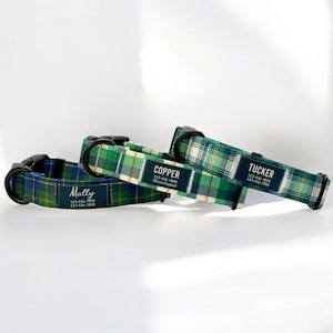 Puede incluir: Tres collares de perro de cuadros verdes y blancos con hebillas negras y etiquetas de nombre personalizadas. Los collares est&aacute;n etiquetados como "Molly", "Copper Microchipeado" y "Tucker".