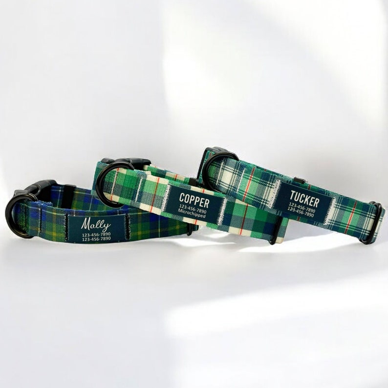 Puede incluir: Tres collares de perro de cuadros verdes y blancos con hebillas negras y etiquetas de nombre personalizadas. Los collares est&aacute;n etiquetados como "Molly", "Copper Microchipeado" y "Tucker".