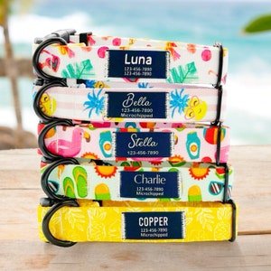 May include: Five colorful dog collars with personalized name tags and phone numbers. The collars feature various summer-themed patterns, including pineapples, palm trees, and flip-flops.