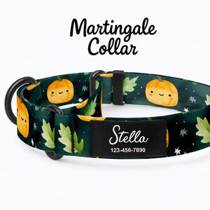 Puede incluir: Un collar Martingale verde oscuro con un patrón repetido de calabazas naranjas sonrientes y hojas verdes. El collar tiene una placa de identificación negra con el nombre "Stella" y un número de teléfono. Para perros.