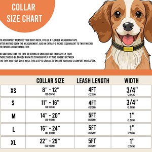 May include: A size chart for dog collars and leashes. The chart shows the collar size in inches and centimeters, the leash length in feet and centimeters, and the width of the collar in inches and centimeters.
