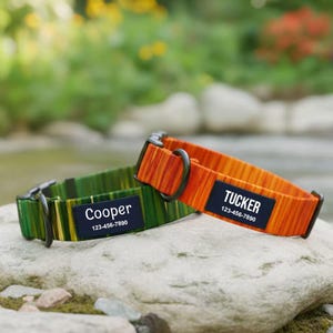 Pode incluir: Duas coleiras personalizadas para cães. Uma é verde com listras amarelas, a outra é laranja com listras vermelhas. Cada coleira tem uma etiqueta preta com o nome e o número de telefone do cão. As coleiras estão sobre uma rocha.