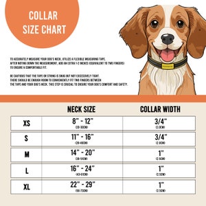 May include: A chart showing collar sizes for dogs. The chart includes neck size in inches and centimeters, and collar width in inches and centimeters. The chart is color-coded with different colors for each size.