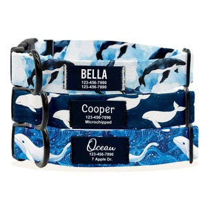 May include: Three dog collars featuring blue and white whale designs. The collars have personalised name tags with phone numbers and additional information. The top collar reads "Bella" with a phone number, the middle collar reads "Cooper" with a phone number and "Microchipped", and the bottom collar reads "Ocean" with a phone number and "7 Apple Dr."