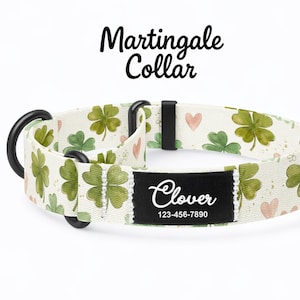 Può includere: Un collare Martingale con sfondo bianco e un motivo a quadrifogli verdi e cuori rosa. Include componenti in metallo nero e un'etichetta rettangolare nera con il testo bianco Clover e il numero 123-456-7890 stampati sopra.