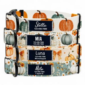 Puede incluir: Cuatro collares para perros con un tema otoñal con calabazas, flores y lazos. Los collares son blancos con diferentes patrones de colores. Cada collar tiene una etiqueta negra con un nombre, un número de teléfono y información adicional. Los nombres en las etiquetas son Stella, MIA, Luna y Milo.