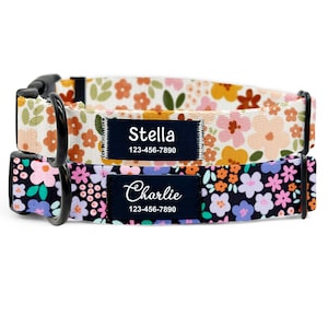 Può includere: Due collari per cani floreali. Il collare superiore ha uno sfondo bianco con fiori arancioni, rosa e verdi. Il collare inferiore ha uno sfondo nero con fiori rosa, viola e arancioni. Ogni collare ha una fibbia nera e un'etichetta con il nome.