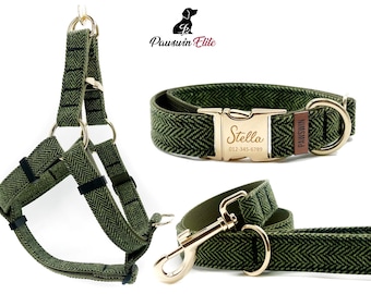 Collar, correa y arnés para perro con diseño de chevrón verde - Hebilla grabada personalizada