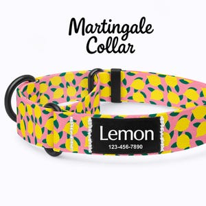 Op de afbeelding: Roze Martingale-halsband voor honden met een patroon van gele citroenen en groene bladeren. De halsband heeft zwarte hardware en een zwart label met de naam "Lemon" en een telefoonnummer.
