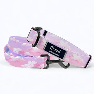 Set collare e guinzaglio per cani personalizzati: nylon viola con nome personalizzato