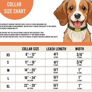 May include: A size chart for dog collars and leashes. The chart shows the collar size in inches and centimeters, the leash length in feet and centimeters, and the width of the collar in inches and centimeters.