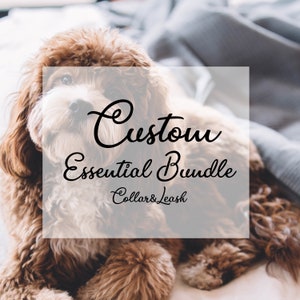 Please Contact First - Custom Essential Bundle - Custom Dog Collar and Leash - Personalized Engraved Collar - Adjustable Size - Metal Buckle