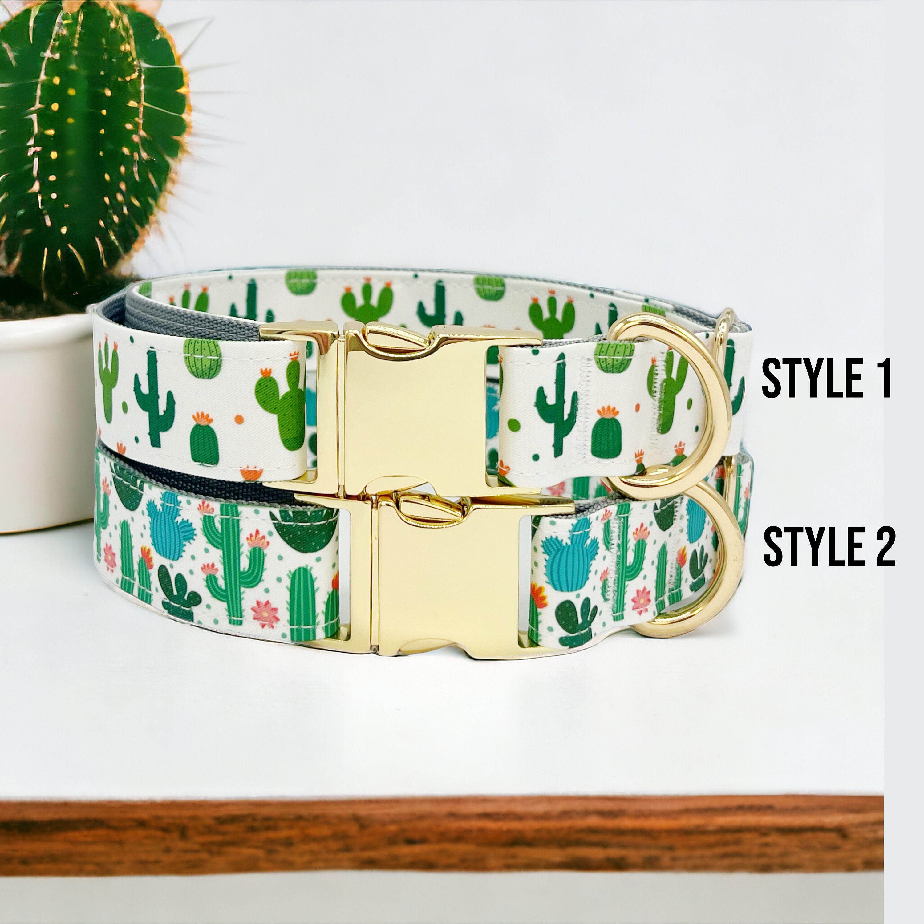 Cactus dog collar and leash sale