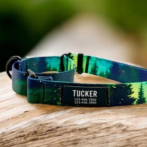 Può includere: Un collare per cani nero e verde con una stampa a tema bosco. Il collare ha una fibbia nera e un'etichetta con su scritto "TUCKER" e un numero di telefono.