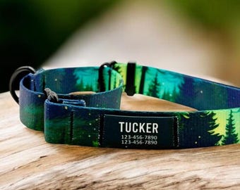 Personalized Green Forest Nylon Martingale Dog Collar: No-Slip Training Collar with Custom Name Patch