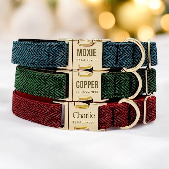 Personalisiertes Herringbone Hundehalsband: Name mit Gravur, Metallschnalle  - Etsy.de