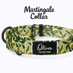 May include: A green and white Martingale dog collar featuring an olive branch design. The collar has a black metal D-ring and a black name tag with the name "Oliver" and a phone number.