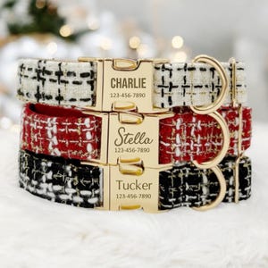 May include: Three dog collars with gold buckles and personalized name tags. The collars are black and white, red and white, and cream and white with a tweed pattern. The name tags have the names "Charlie", "Stella", and "Tucker" with phone numbers.