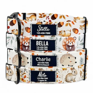 May include: Four white dog collars with autumn-themed patterns. The collars have black buckles and personalized name tags with phone numbers. The tags read "Stella 123-456-7890", "Bella 123-456-7890", "Charlie 123-456-7890 Microchipped", and "Milo 123-456-7890 7 Apple Dr."
