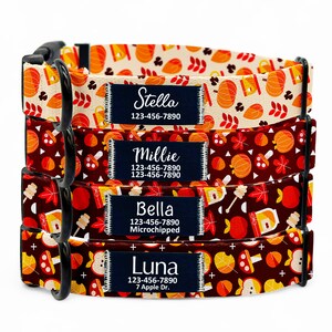 Collare per cani in nylon personalizzato con zucca autunnale: toppa con nome personalizzato