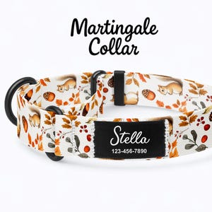 May include: A white Martingale dog collar with a fall-themed pattern of squirrels, acorns, and leaves in shades of brown and orange. The collar features a black name tag with the name "Stella" and a phone number.