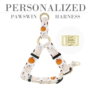 Autumn Pumpkin Dog Harness: Personalized Engraved Metal Buckle