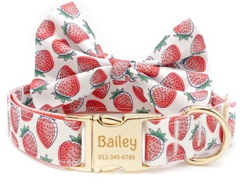 May include: A white dog collar with a gold buckle and a matching bow tie. The collar and bow tie feature a strawberry print. The buckle has the name "Bailey" and a phone number engraved on it.
