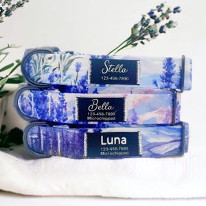 Può includere: Tre collari per cani impilati con un motivo floreale alla lavanda. Ogni collare ha un'etichetta blu navy con il nome dell'animale domestico, un numero di telefono e la scritta "Microchipped". I nomi sono Stella, Bella e Luna.